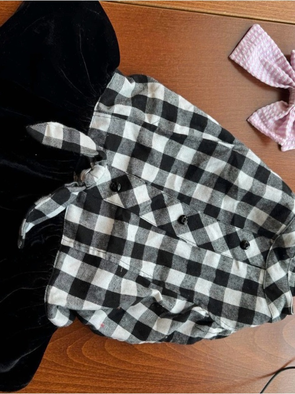 Black & White Gingham Button-Up Top - Dog